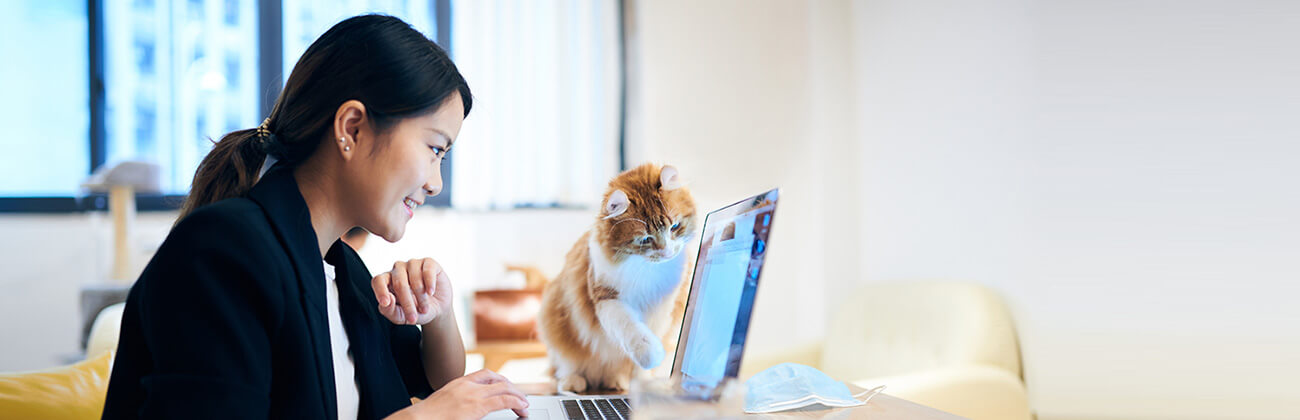 woman and cat on laptop power cycle modem