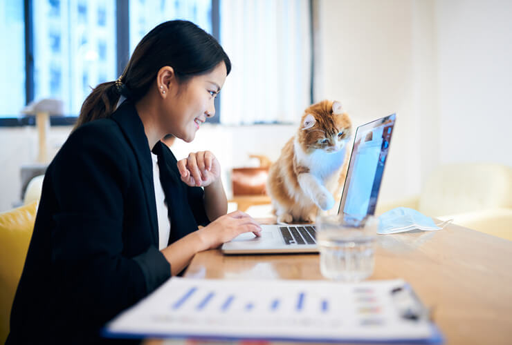 woman and cat on laptop power cycle modem